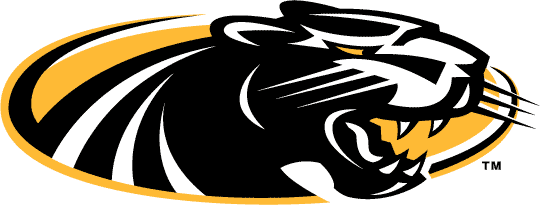 Wisconsin-Milwaukee Panthers 2002-2010 Alternate Logo t shirts DIY iron ons